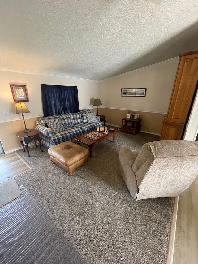 living room featuring crown molding, a wainscoted wall, a textured ceiling, and wood finished floors