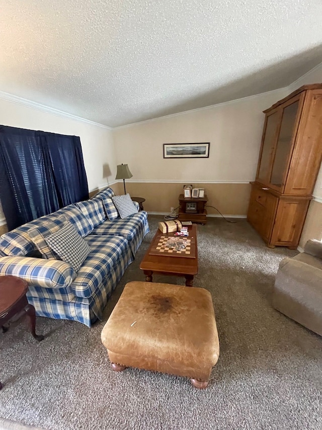 carpeted living area featuring ornamental molding and a textured ceiling