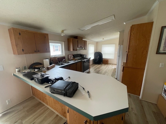 kitchen with a textured ceiling, a peninsula, light wood-type flooring, vaulted ceiling, and range with gas cooktop