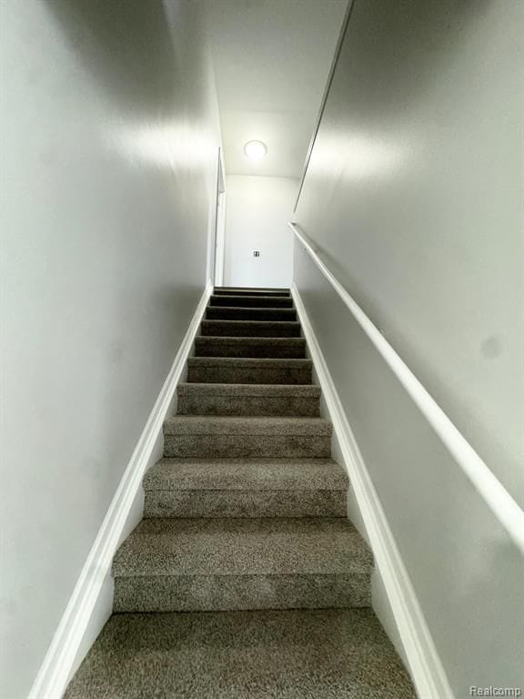 stairway featuring carpet