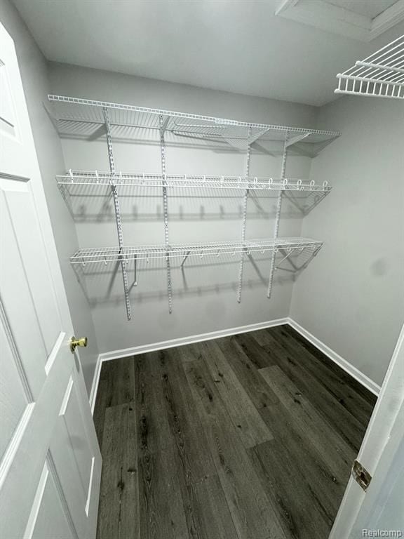 spacious closet featuring wood finished floors
