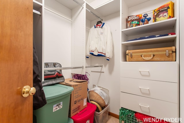view of spacious closet