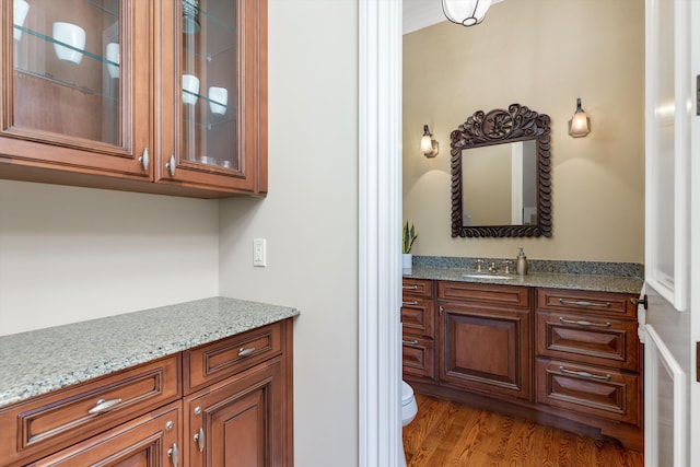 bathroom featuring toilet, wood finished floors, and vanity