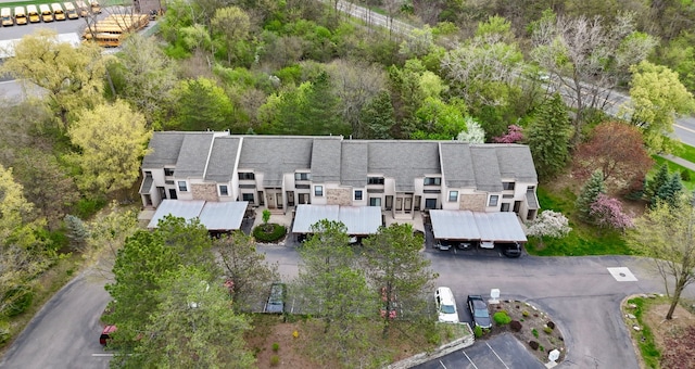 drone / aerial view