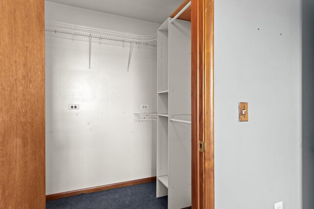 walk in closet with carpet