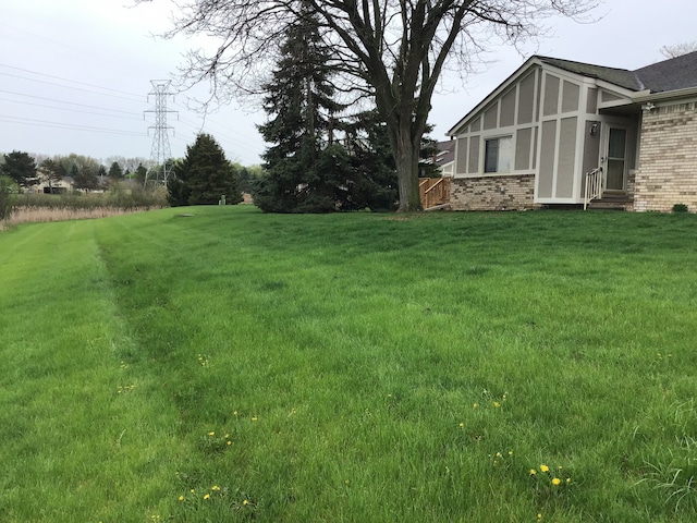 view of yard featuring entry steps