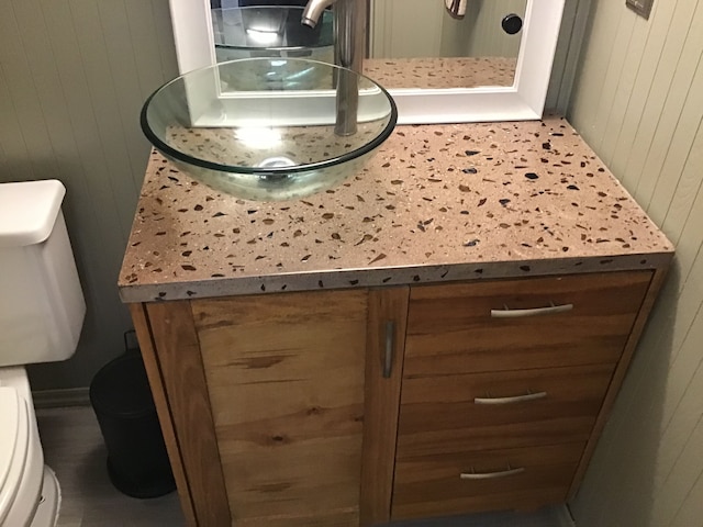 bathroom featuring wooden walls, vanity, and toilet
