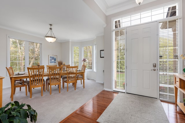 foyer with crown molding, baseboards, and dark wood-style floors