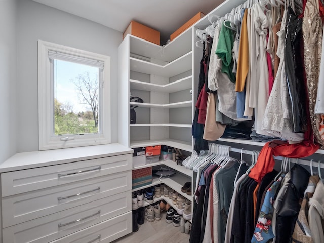 spacious closet featuring wood finished floors