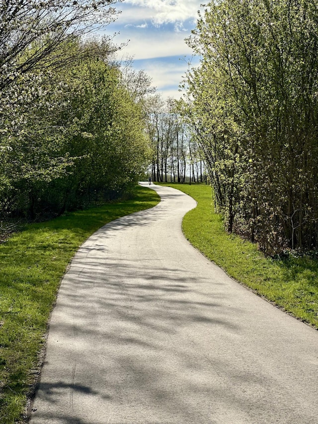 surrounding community with a yard