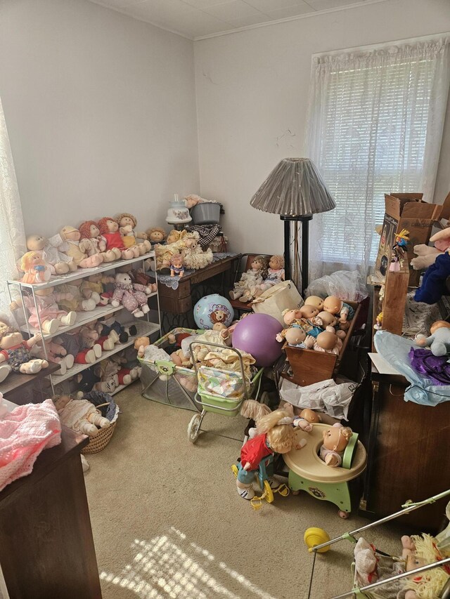 miscellaneous room featuring carpet floors