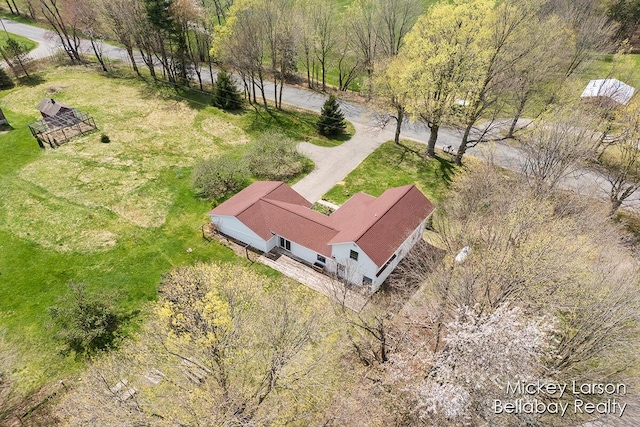 drone / aerial view