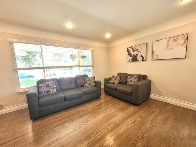 living area featuring plenty of natural light, baseboards, and wood finished floors