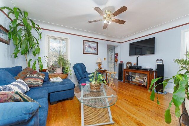 9929 Arden St, Livonia, MI 48150 - photo 6