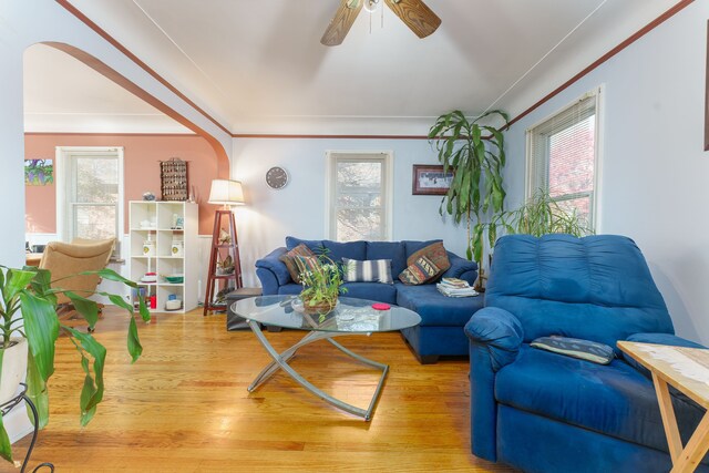9929 Arden St, Livonia, MI 48150 - photo 7