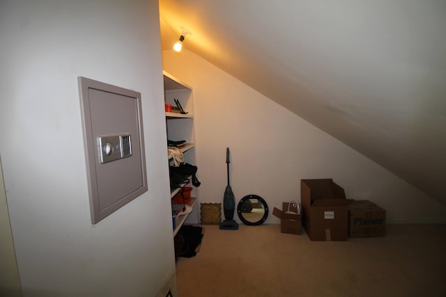 bonus room with carpet and lofted ceiling