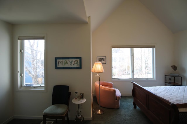 bedroom with baseboards, multiple windows, and carpet
