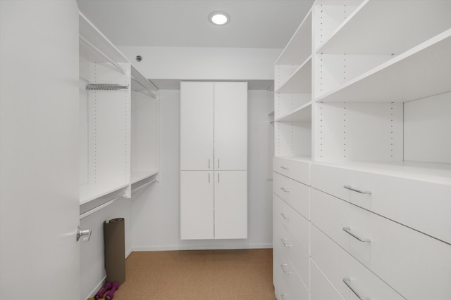 walk in closet with light colored carpet