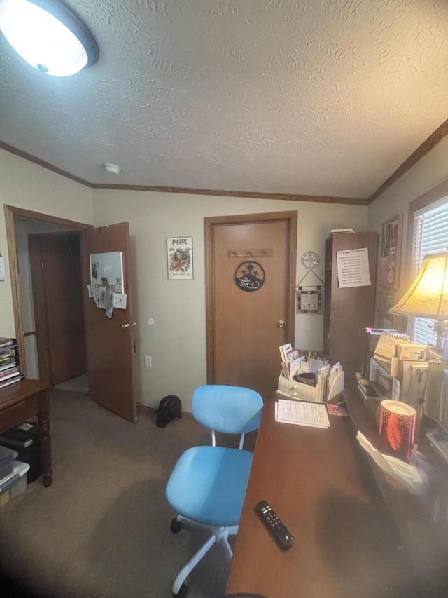 carpeted living area featuring ornamental molding and a textured ceiling