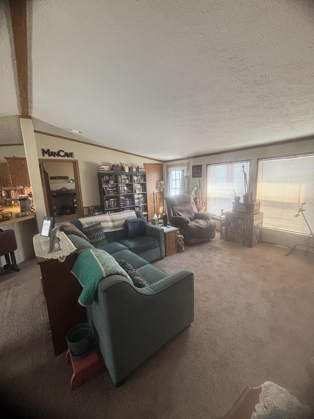 carpeted living area featuring a textured ceiling and lofted ceiling