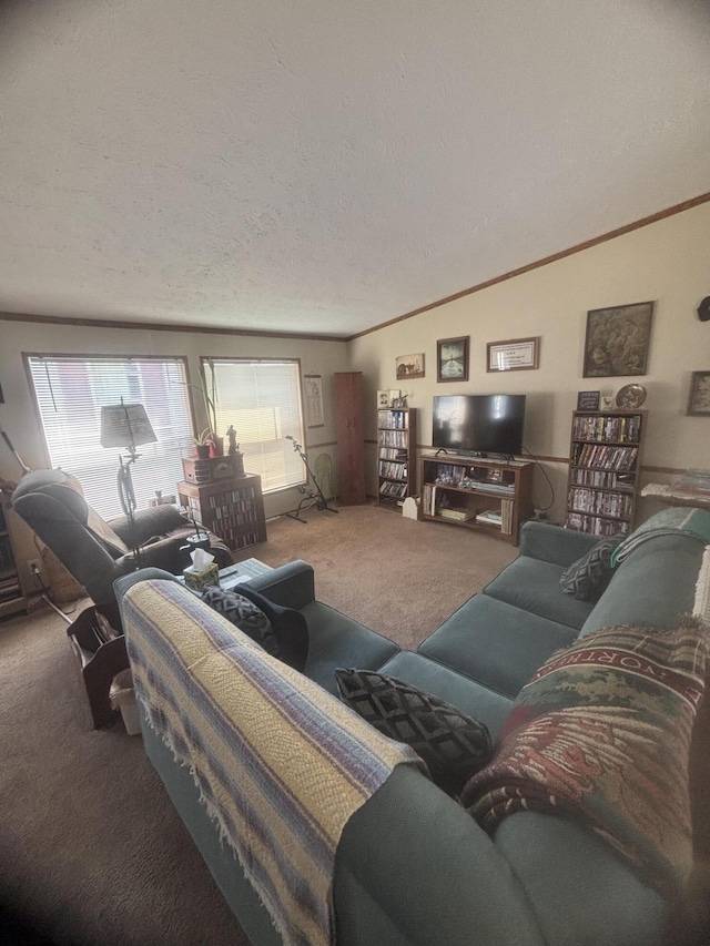 living room featuring carpet flooring, a textured ceiling, and a healthy amount of sunlight