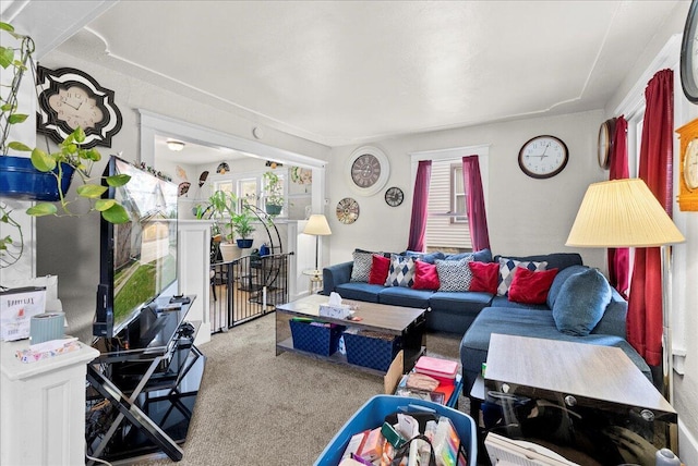 view of carpeted living area
