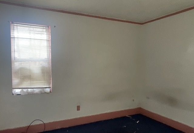 16837 Winthrop St, Detroit, MI 48235 - empty room featuring crown molding