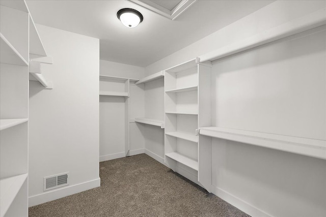 692 Westlake Ave, Oxford, MI 48371 - walk in closet with dark carpet and visible vents