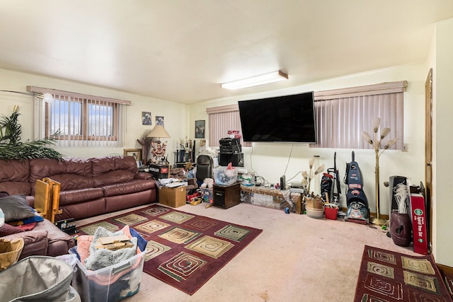 living area featuring carpet