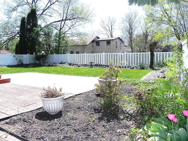 view of yard with a fenced backyard and a patio area