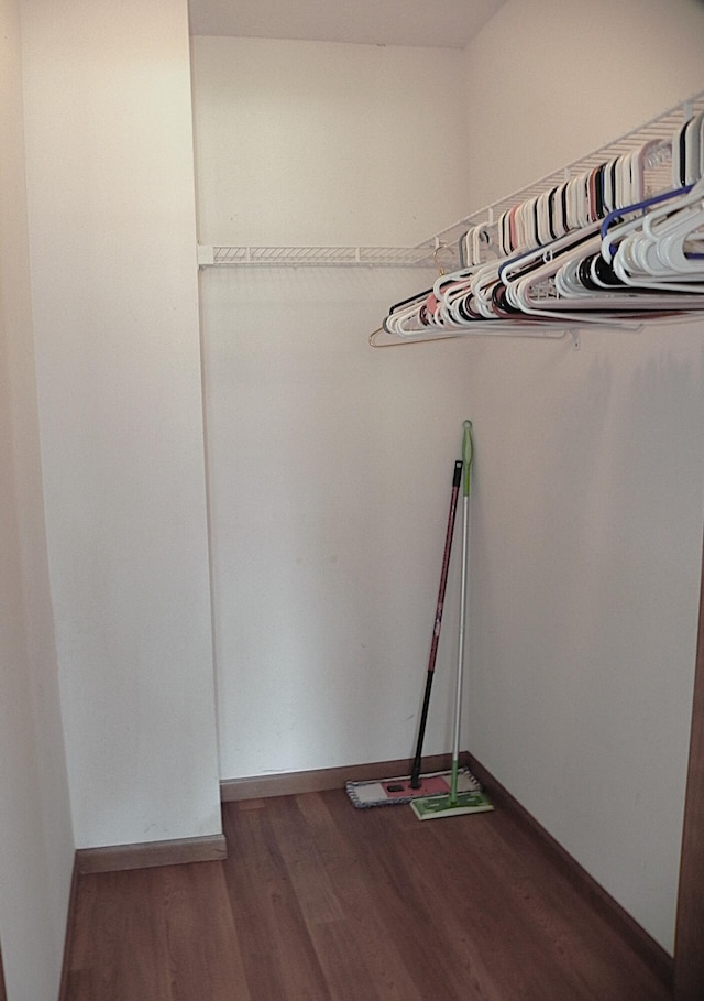 spacious closet with dark wood-type flooring