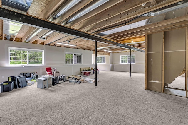 basement featuring carpet flooring