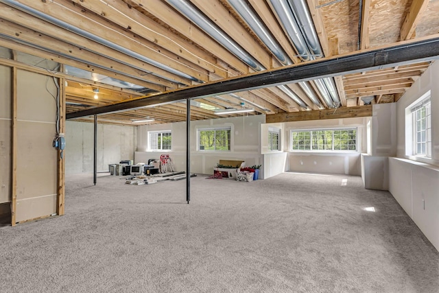 below grade area featuring carpet