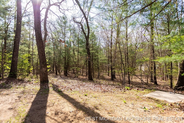 3087 38th St, Hamilton, MI 49419 - view of nature with a view of trees