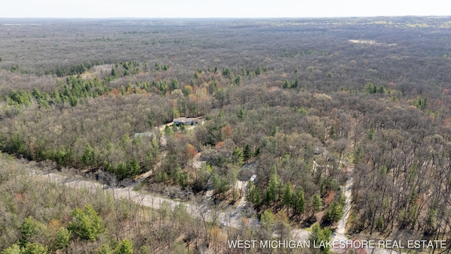 3087 38th St, Hamilton, MI 49419 - aerial view with a wooded view