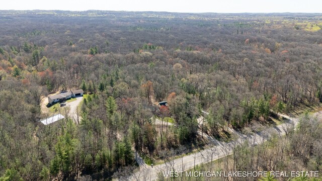 3087 38th St, Hamilton, MI 49419 - drone / aerial view featuring a wooded view