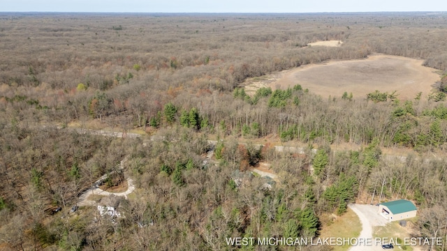 3087 38th St, Hamilton, MI 49419 - aerial view featuring a wooded view