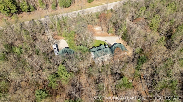3087 38th St, Hamilton, MI 49419 - birds eye view of property