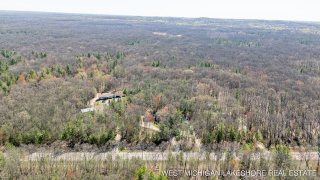 3087 38th St, Hamilton, MI 49419 - aerial view with a forest view