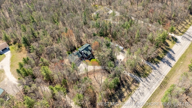 3087 38th St, Hamilton, MI 49419 - bird's eye view