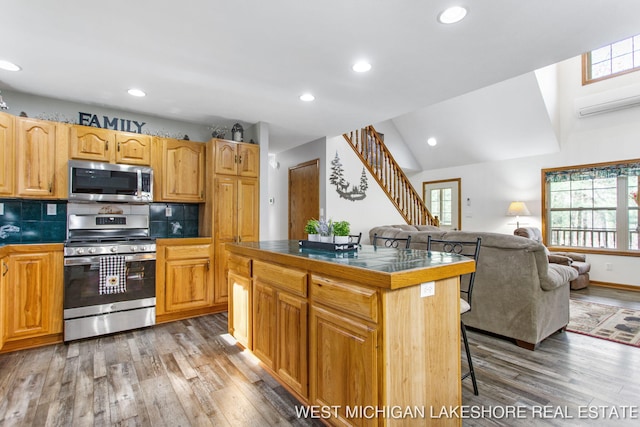 3087 38th St, Hamilton, MI 49419 - kitchen featuring light wood-style floors, open floor plan, plenty of natural light, and appliances with stainless steel finishes