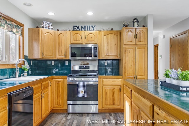 3087 38th St, Hamilton, MI 49419 - kitchen featuring appliances with stainless steel finishes, a sink, tile counters, tasteful backsplash, and dark wood-type flooring