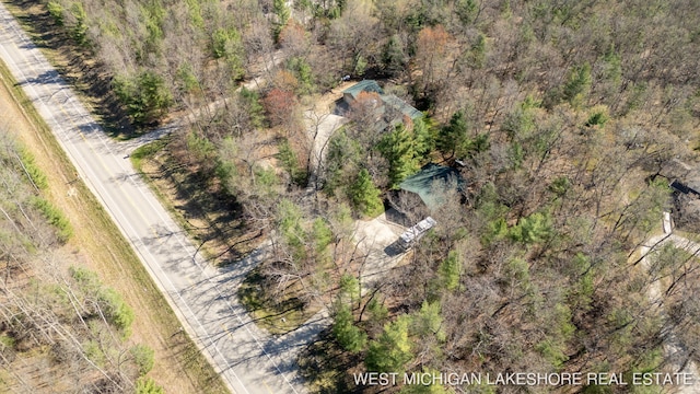 3087 38th St, Hamilton, MI 49419 - bird's eye view