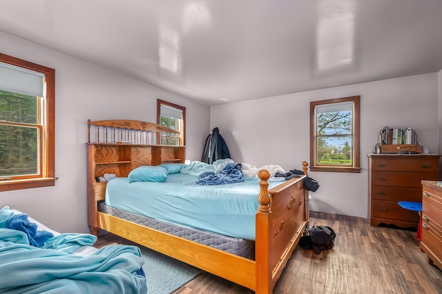 bedroom featuring multiple windows and wood finished floors