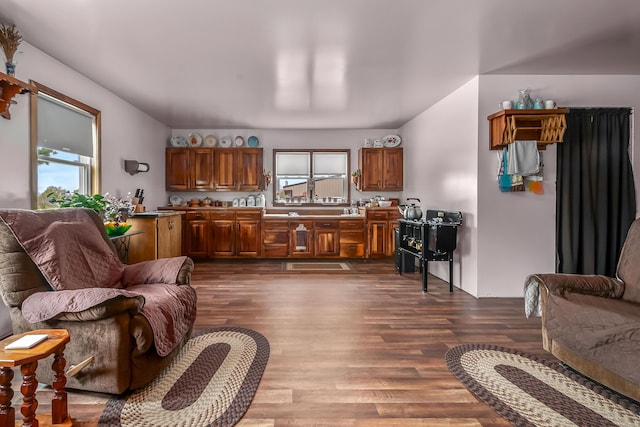 living area featuring dark wood-style flooring