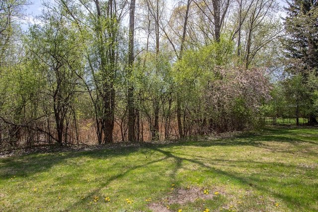 1683 Mark Hopkins Rd, Bloomfield Hills, MI 48302 - view of green lawn featuring a wooded view