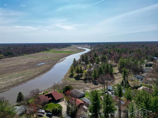 4438 N Verity Rd, Sanford, MI 48657 - aerial view with a water view and a forest view