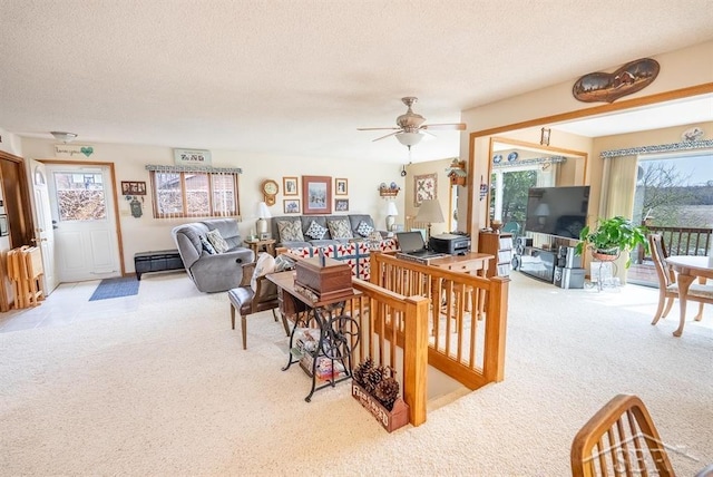 4438 N Verity Rd, Sanford, MI 48657 - carpeted living area with ceiling fan and a textured ceiling