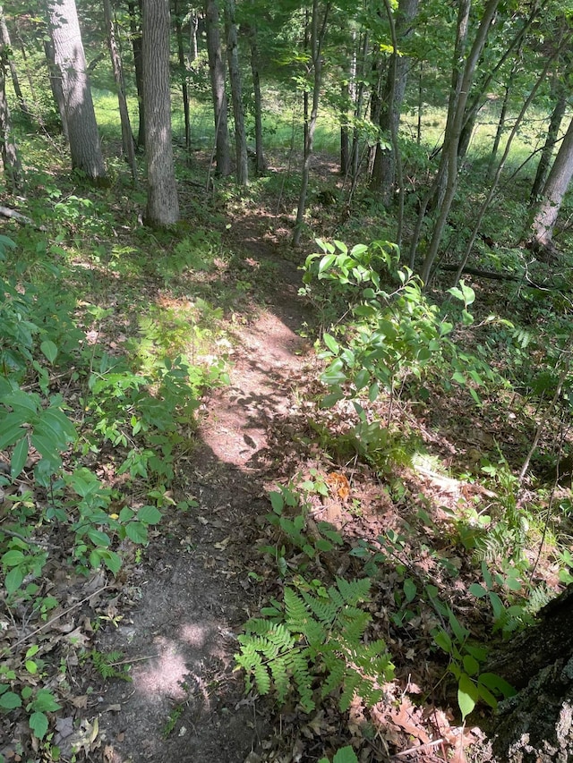 3149 Bungo Trl, Harrison, MI 48625