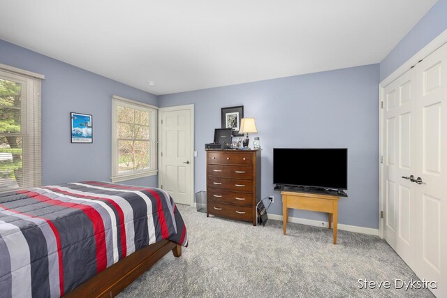 bedroom featuring baseboards, carpet, and multiple windows